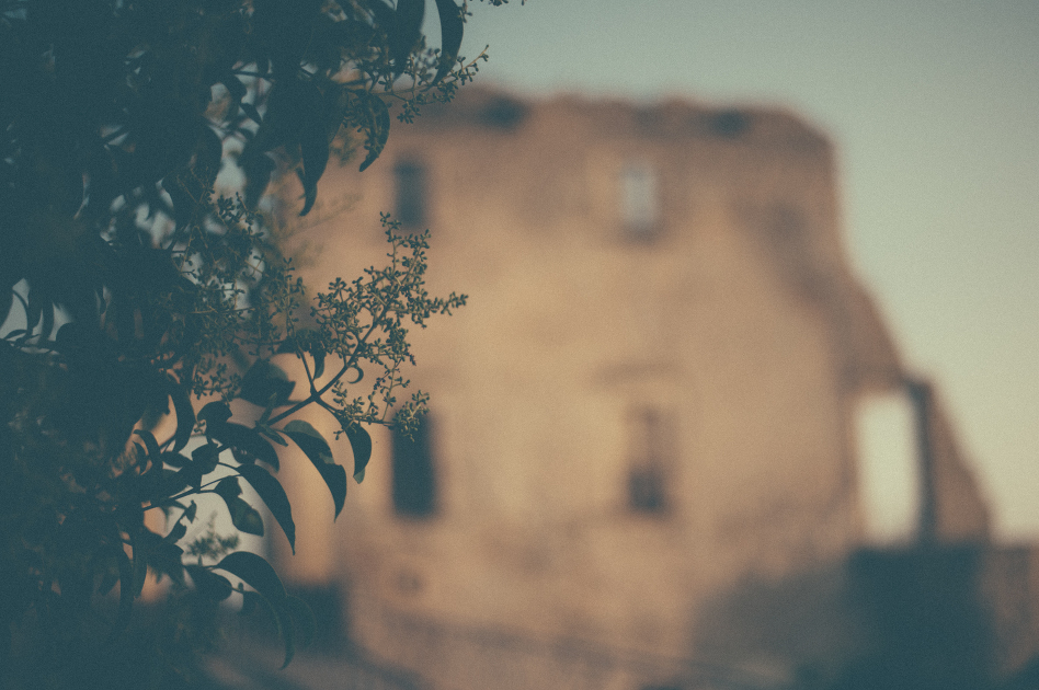 POLAROID-CALABRIA-6387